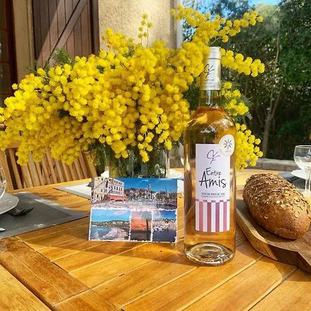 Familiale à Sanary, Climatisée, à Pieds Sanary-sur-Mer